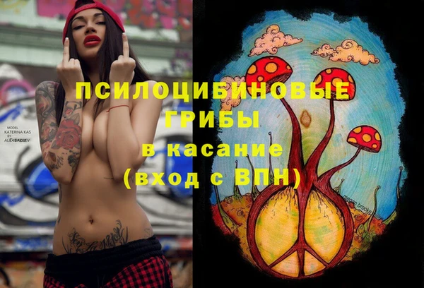 таблы Алексин