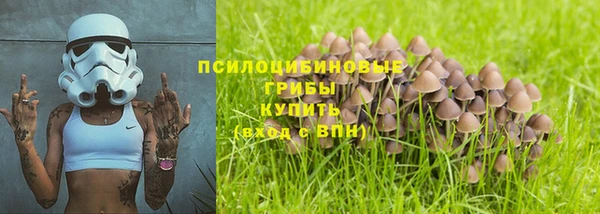 таблы Алексин