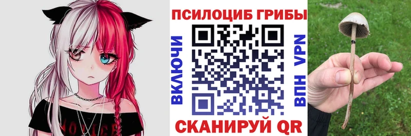 что такое наркотик  Арамиль  Псилоцибиновые грибы GOLDEN TEACHER 